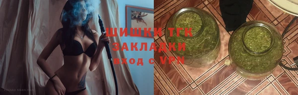 индика Богородицк