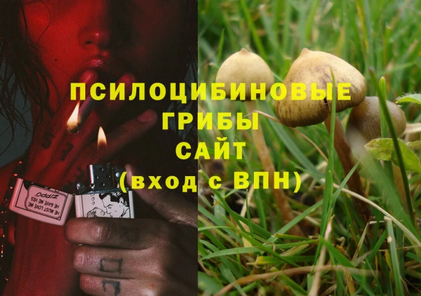 гидра Богородск