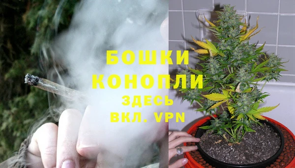 индика Богородицк