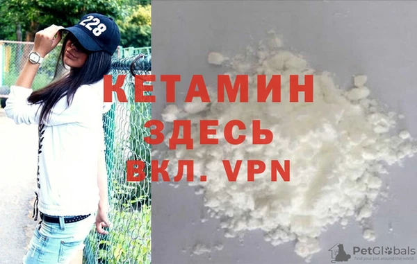 индика Богородицк