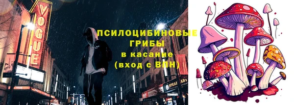 индика Богородицк
