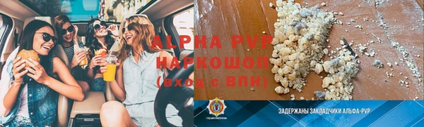 индика Богородицк